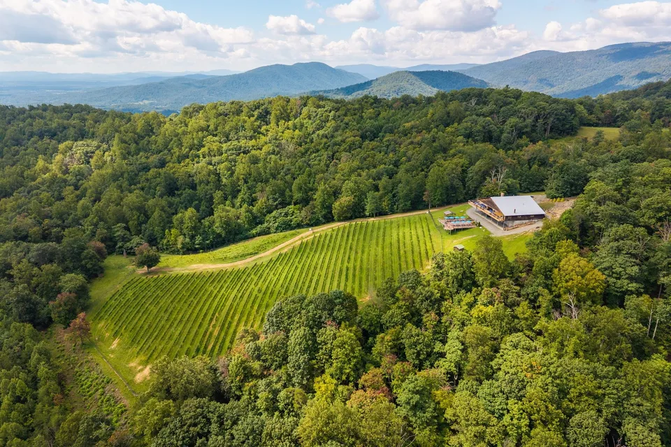 Property in Greene County