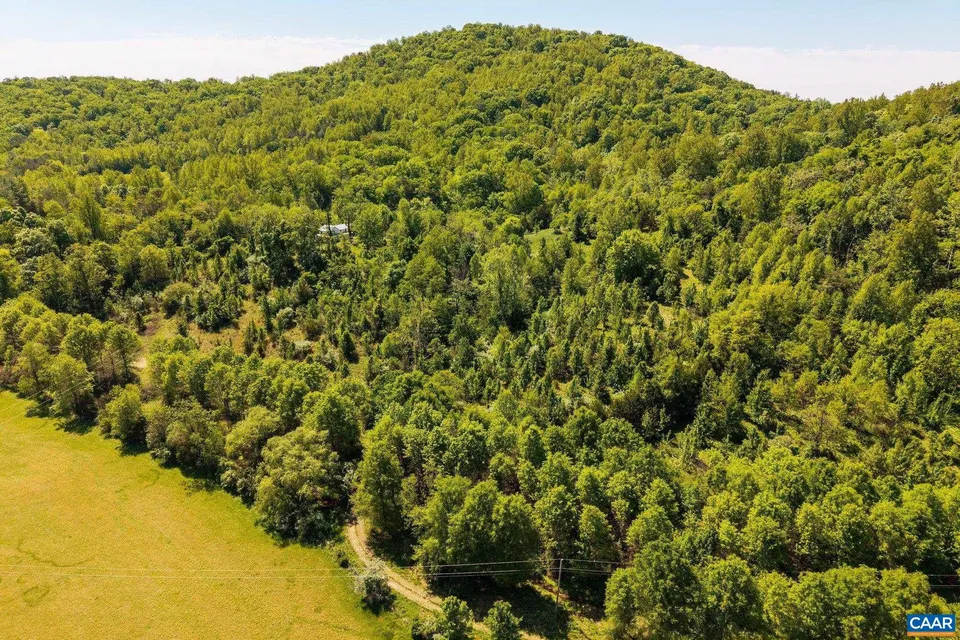 Property in Albemarle