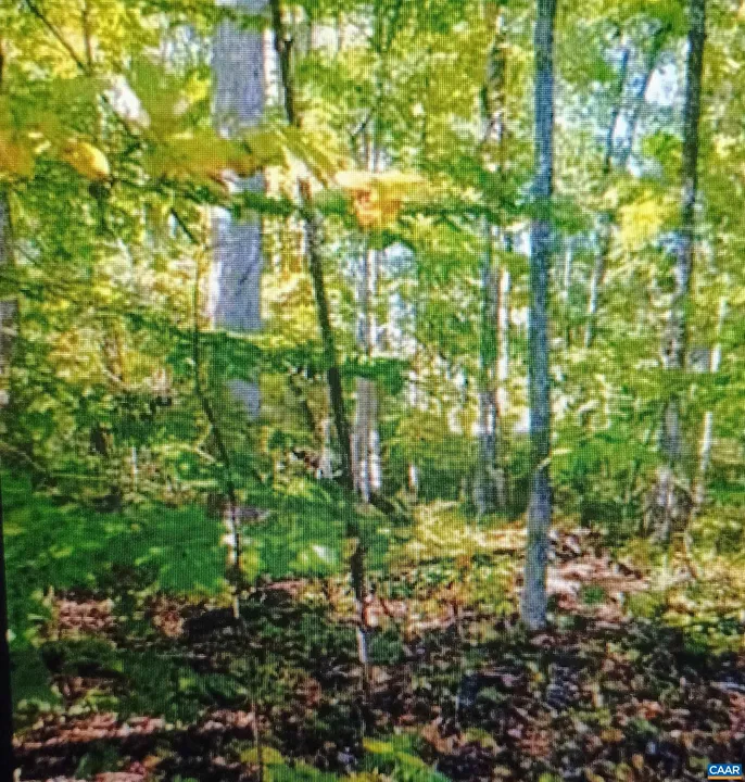 Property in Louisa County