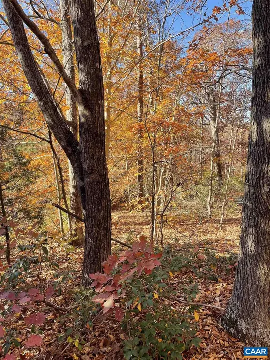 Property in Fluvanna