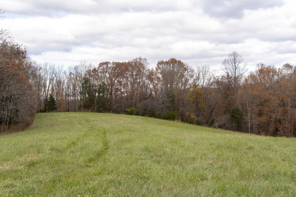 Property in Albemarle
