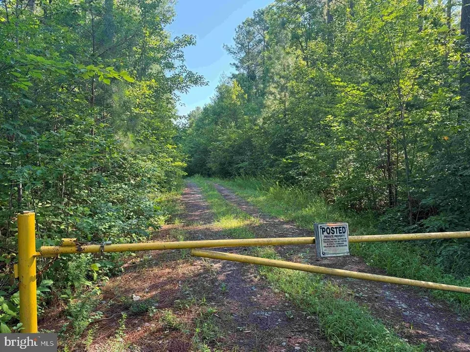 Property in Louisa