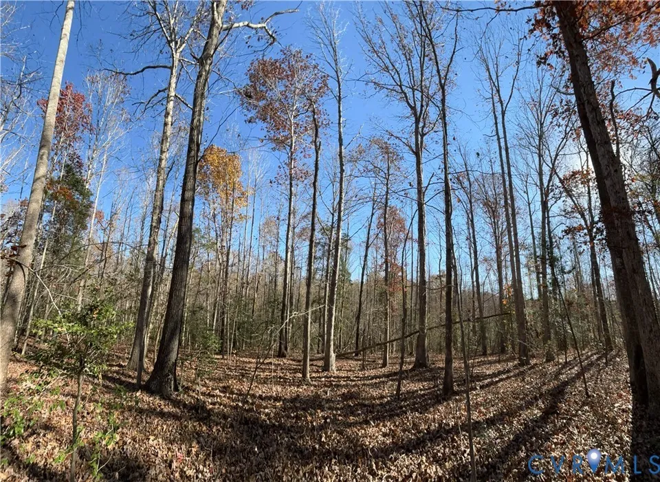 Property in Louisa