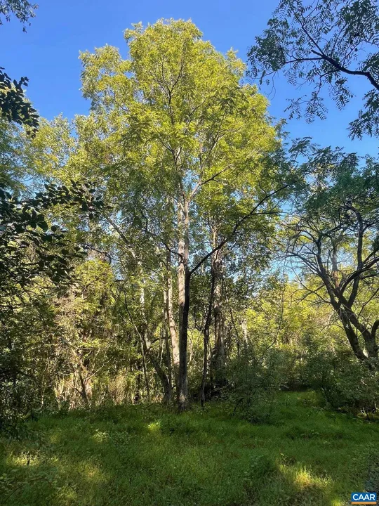 Property in Albemarle