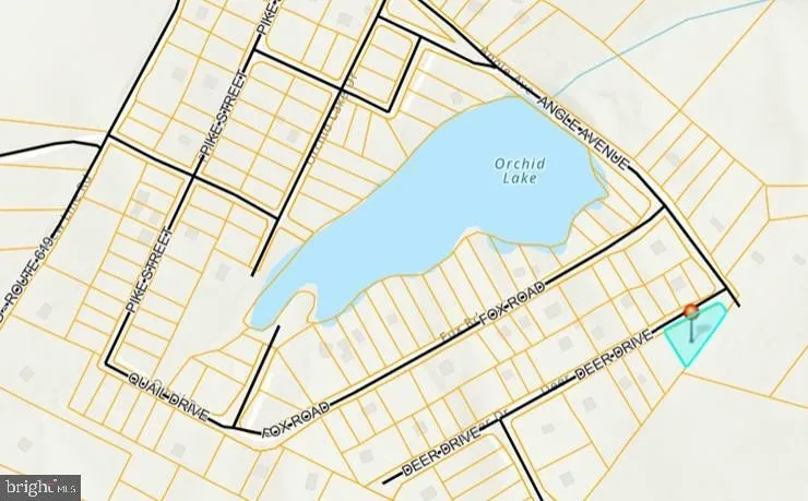 Property in Louisa