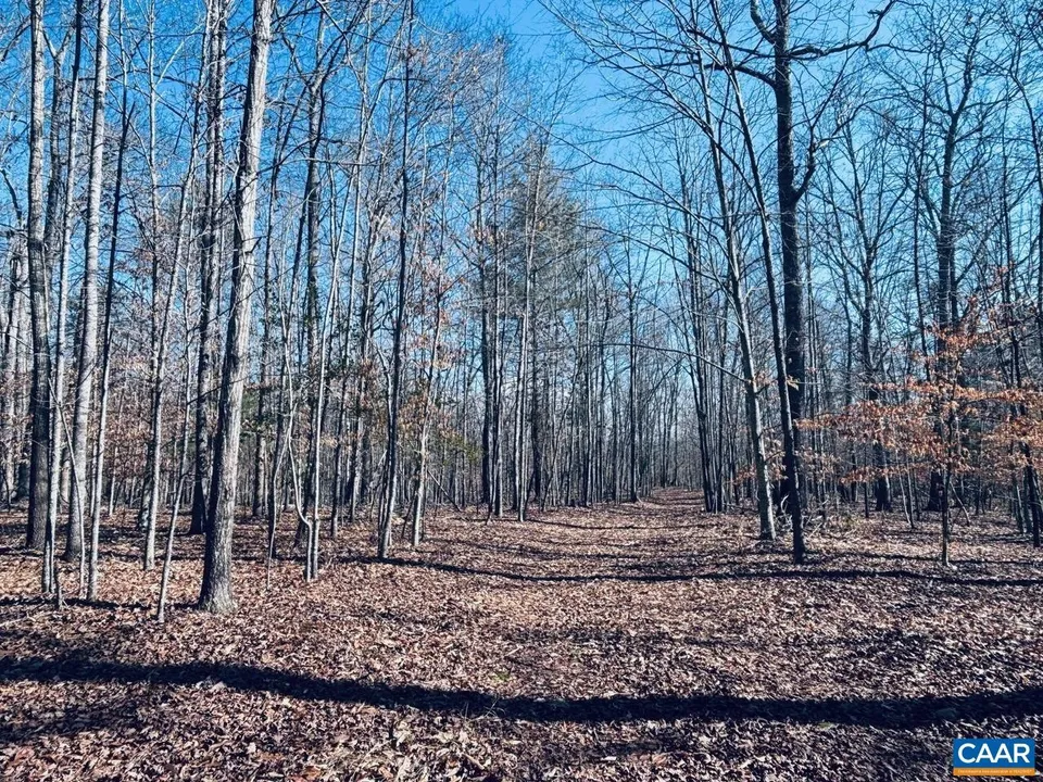 Property in Albemarle