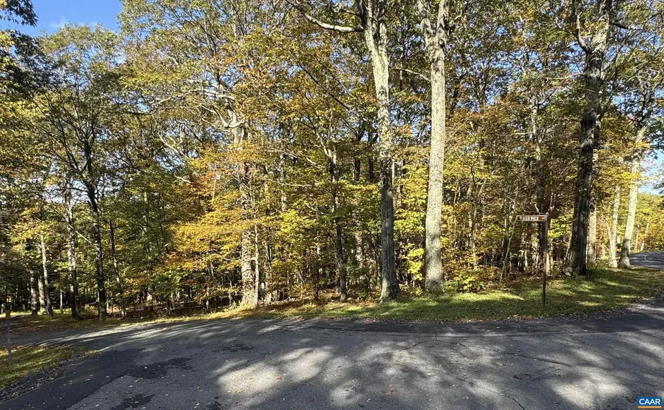 Property in Nelson