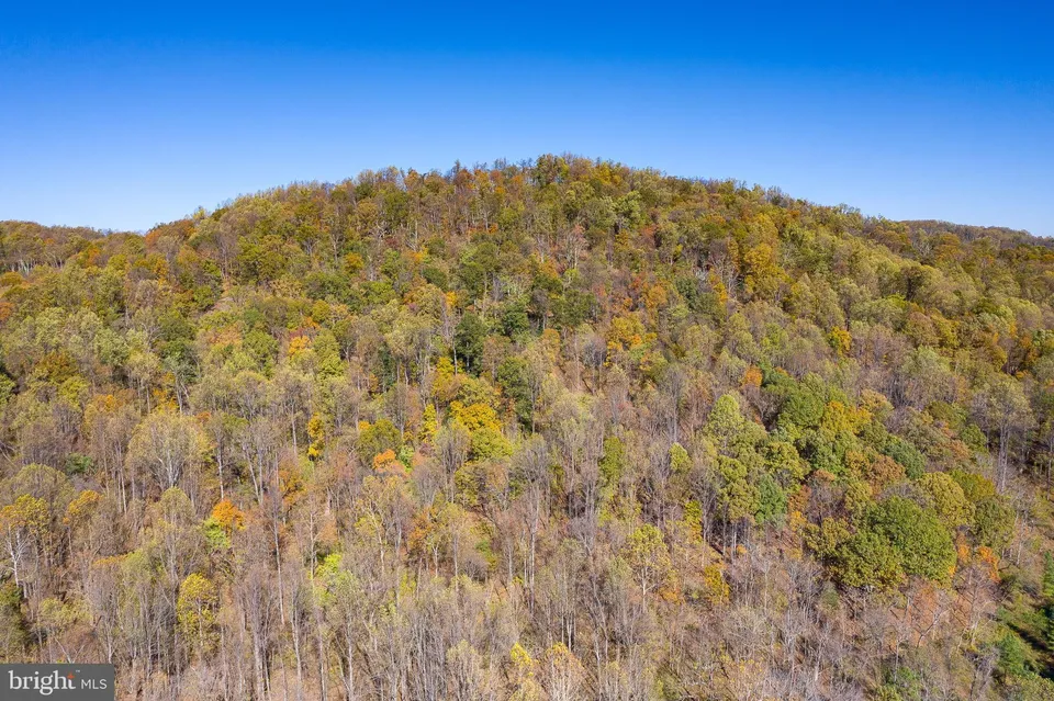 Property in Albemarle