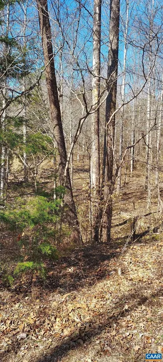 Property in Fluvanna