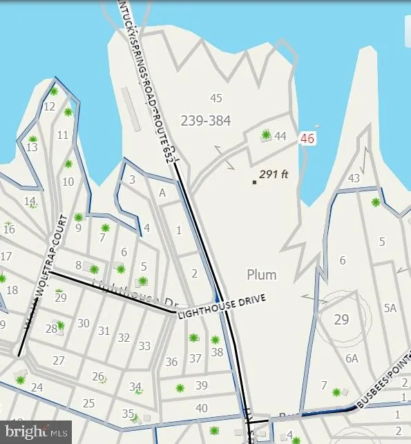 Property in Louisa