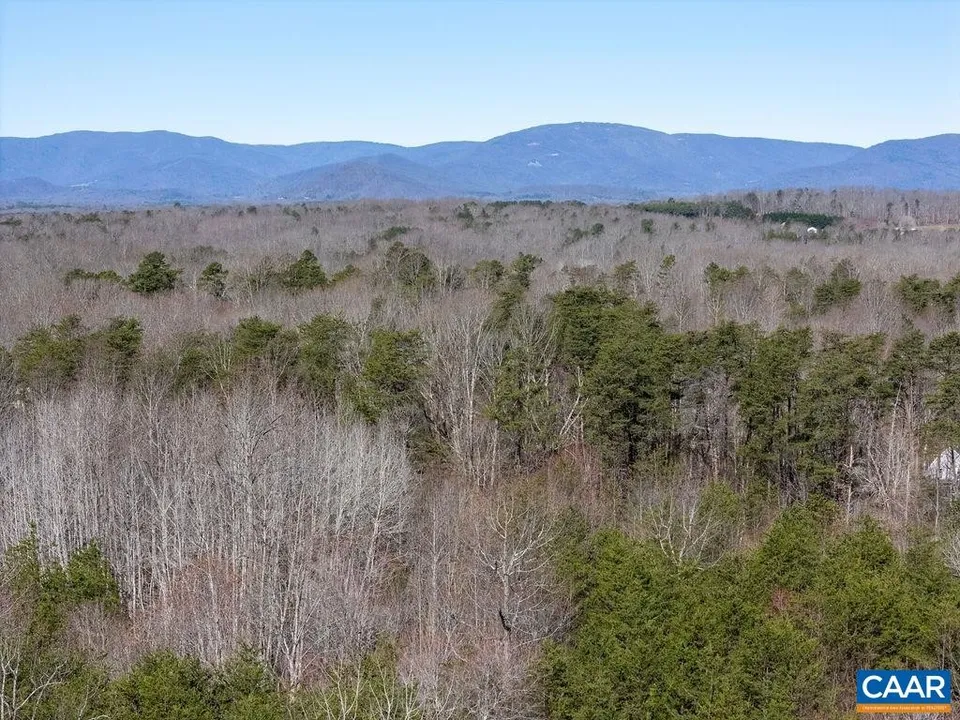 Property in Albemarle